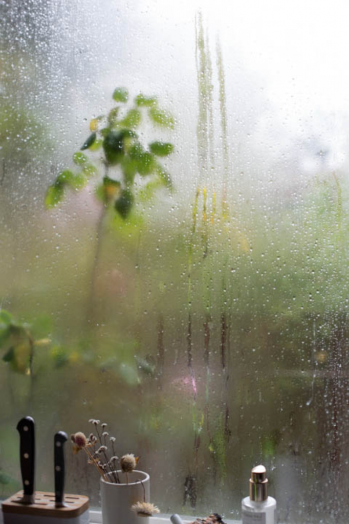 Утро дождь картинки. Дождливое летнее утро. Дождливое утро летом. Дождливый летний день. Летний дождь за окном.